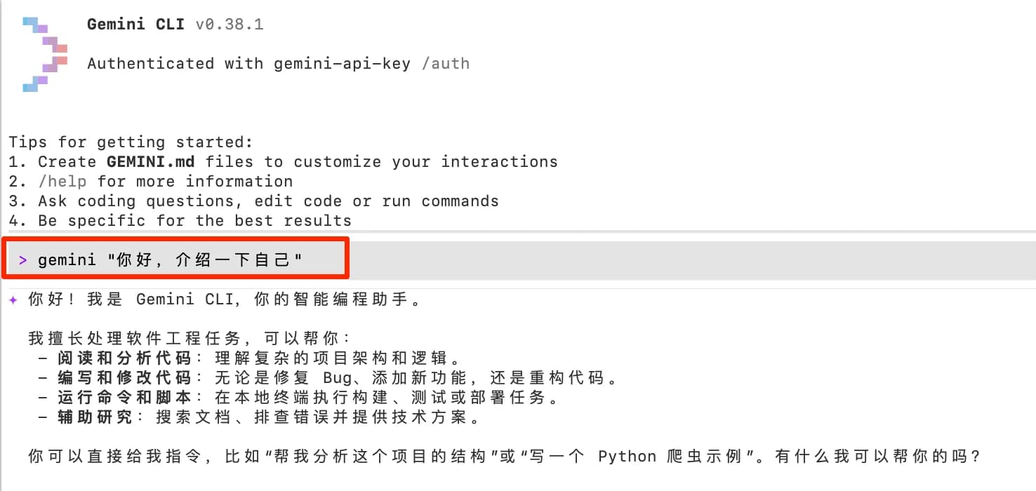 验证 Gemini CLI