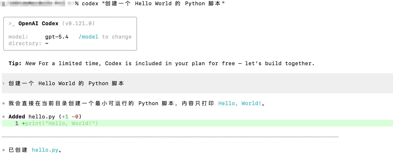 Codex CLI running
